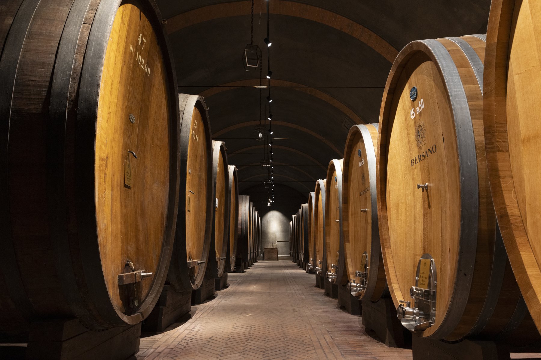 Bottaia storica Bersano con grandi botti in rovere