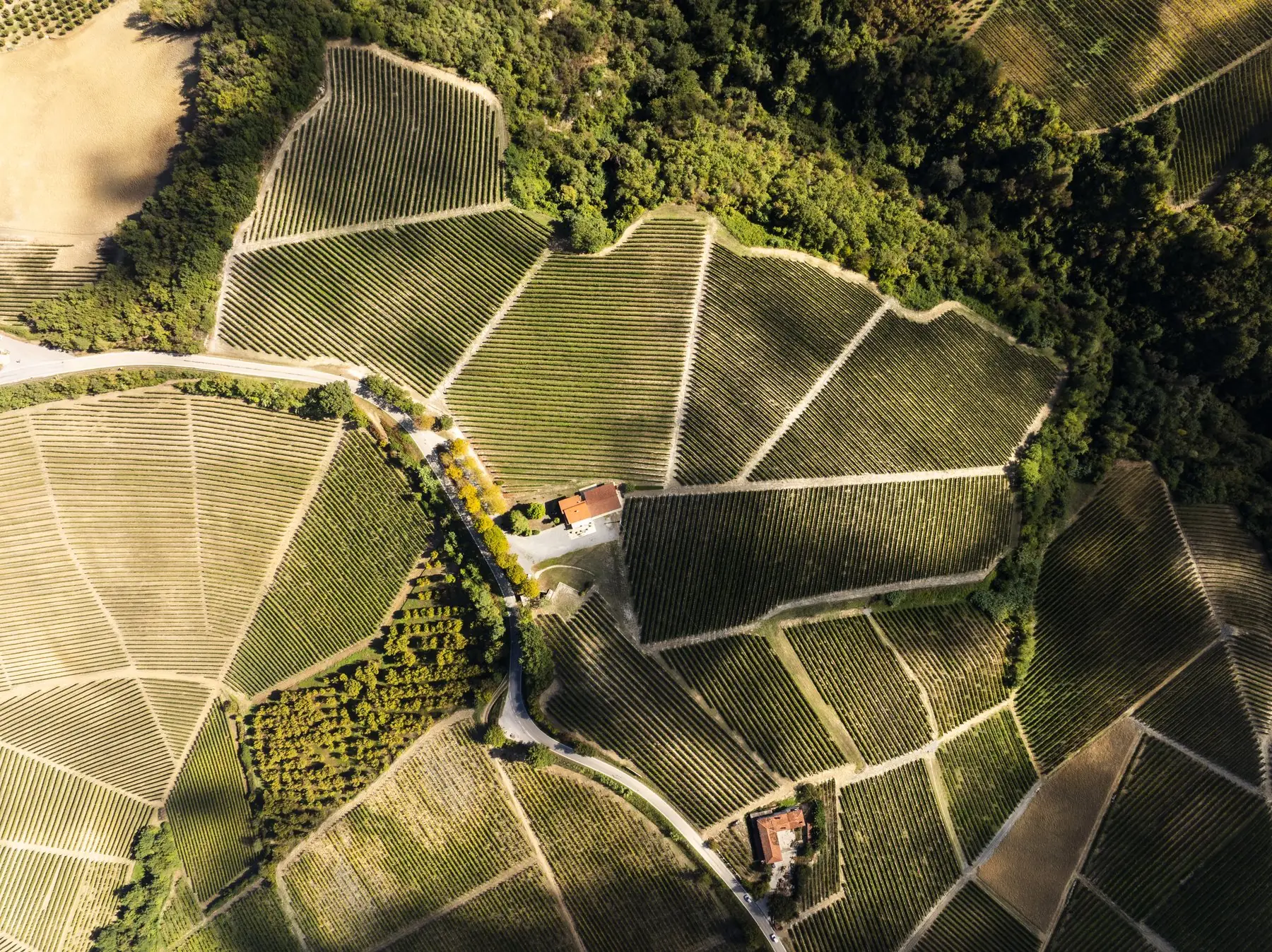 Aerial view of Bersano vineyards and farmstead among the hills
